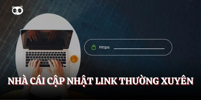 Nhà cái cập nhật link thường xuyên