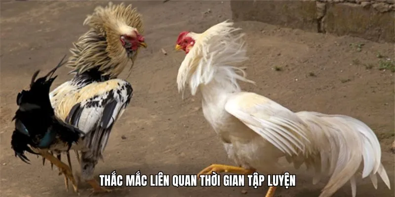 Thắc mắc liên quan thời gian tập luyện