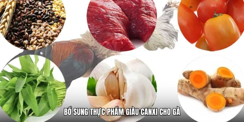 Bổ sung thực phẩm giàu canxi cho gà