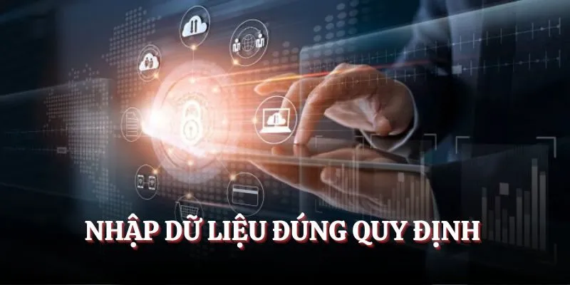 Nhập dữ liệu đúng quy định trên hệ thống