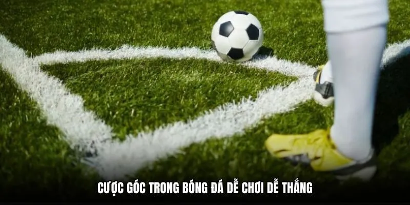 Cược góc trong bóng đá dễ chơi dễ thắng