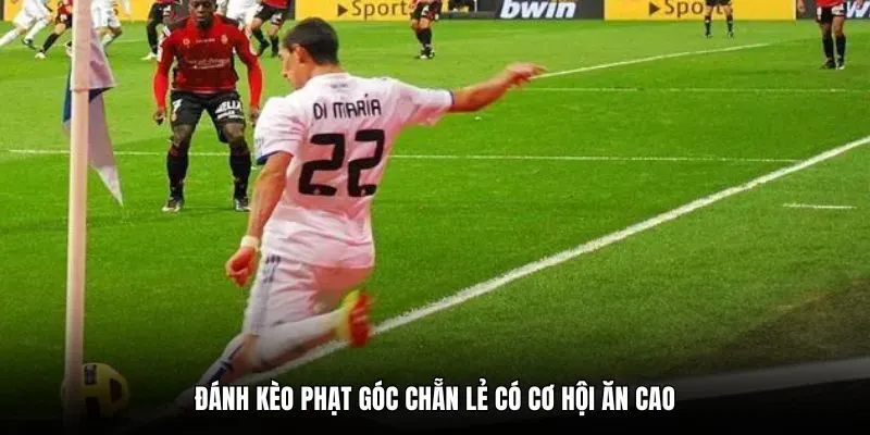 Đánh kèo phạt góc chẵn lẻ có cơ hội ăn cao