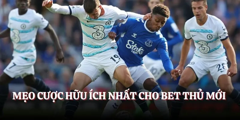 Mẹo cược hữu ích nhất cho bet thủ mới 