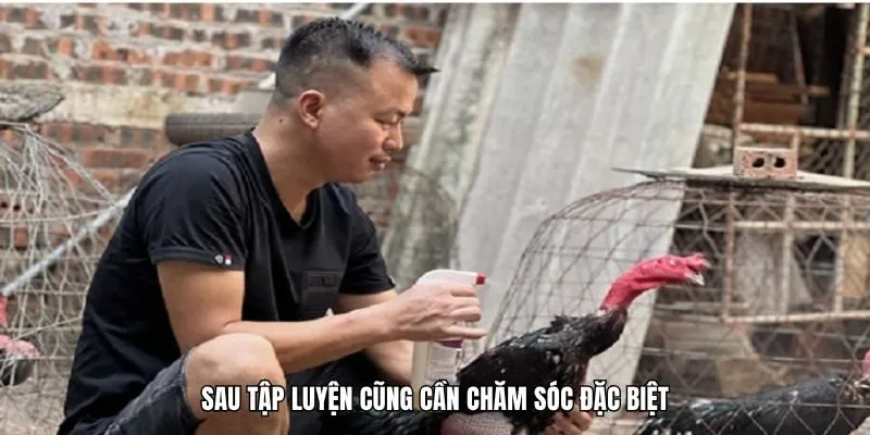 Sau tập luyện cũng cần chăm sóc đặc biệt